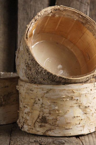 Birch Bark Planter Pot 6.5x3.5 w/Liner