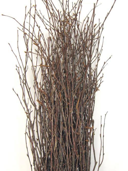 Natural Birch Tree Branches 3-4ft (25 branches) - view 1