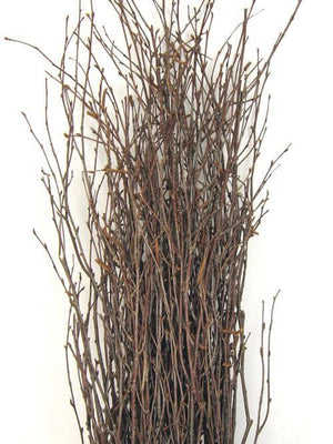 1 of 3: Natural Birch Tree Branches 3-4ft (25 branches)