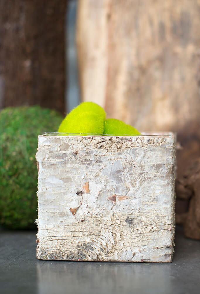birch bark square pot with liner 5in - view 3