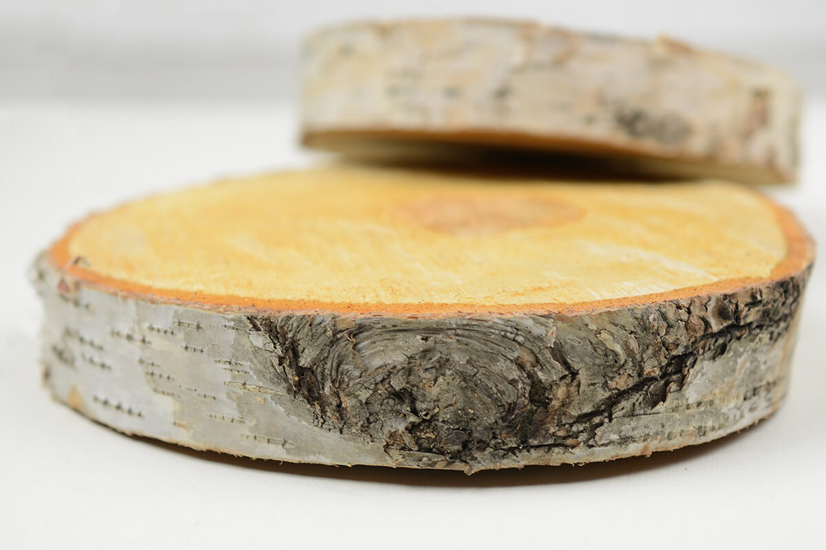 birch slab round 8 x 1 thick