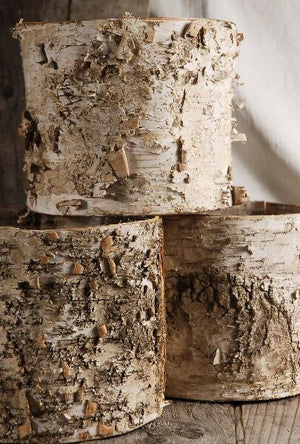 1 of 4: birch bark planter w plastic liner 7x6