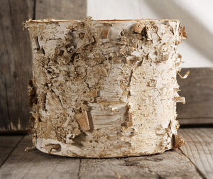 2 of 4: Birch Bark Planter w/ Plastic Liner  7x6