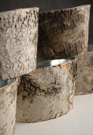 1 of 3: natural birch bark zinc pot planter 6x3