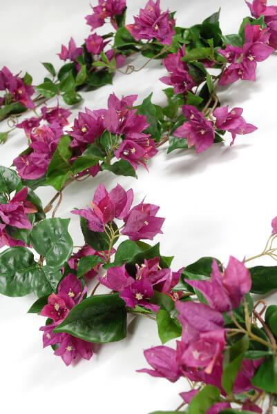 Bougainvillea Garlands - view 1