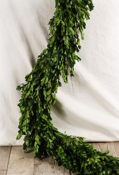 natural preserved boxwood garland 45in