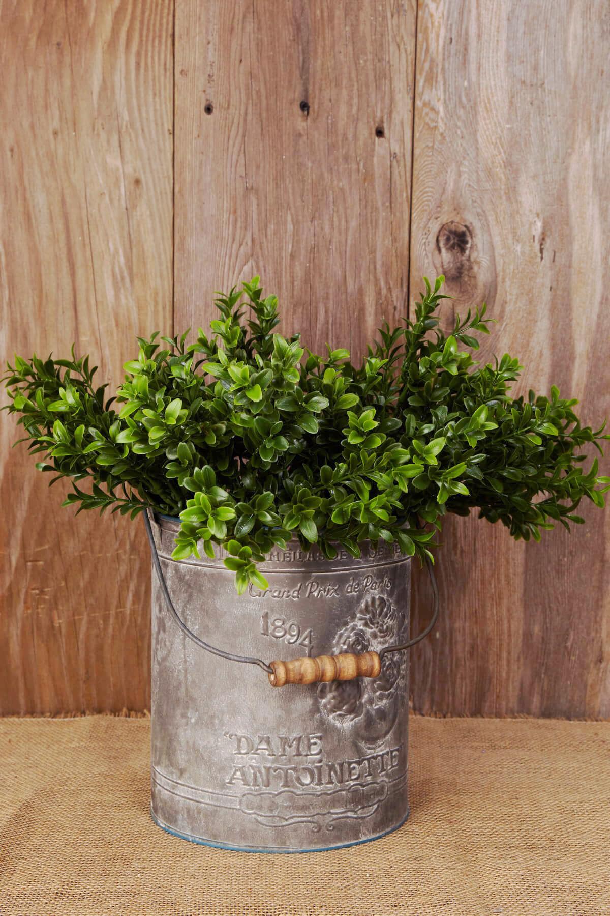 Boxwood Sprays Green 18" Set of 6