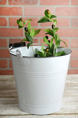 1 of 3: White Enamel 11in Bucket with Handle