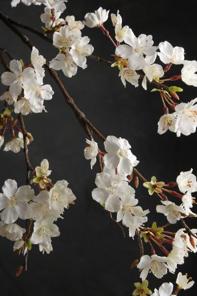 cherry blossom branch 42in white flowers - view 2