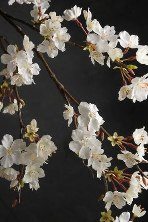 2 of 3: cherry blossom branch 42in white flowers