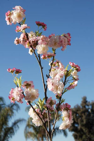 1 of 3: pink cherry blossom branches 45