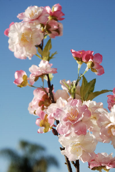 Pink Cherry Blossom Branches  45" - view 2