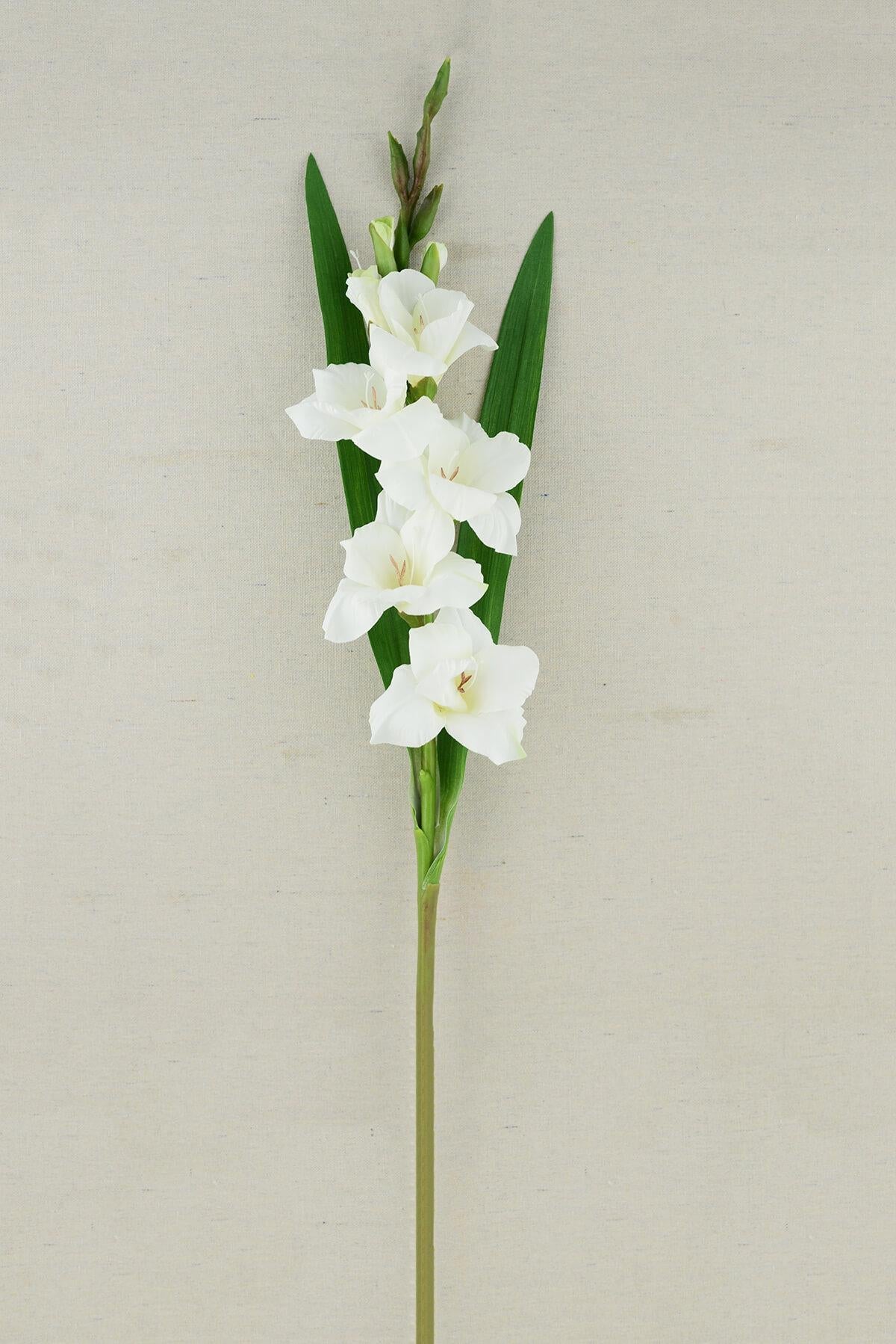 Gladiolus Flower Cream 33in