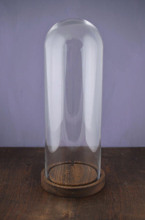 1 of 3: 16 glass cloche