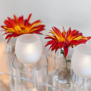 3 of 4: Eastland Petite Hurricane Votive Candle Holder Frosted Set of 36