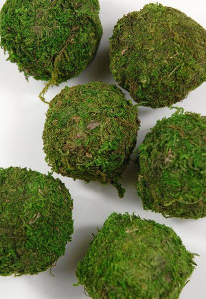 1 of 2: natural moss balls 2 inch 6 balls