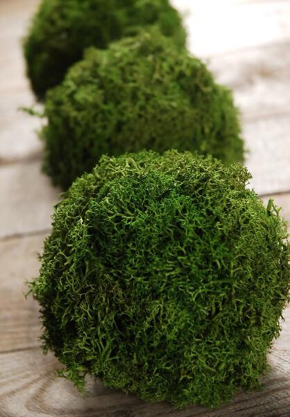 green reindeer moss 4 balls set of 3