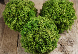 2 of 2: Green Reindeer Moss 4"  Balls (set of 3)
