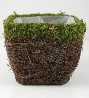 1 of 3: moss and wicker square pot 5in