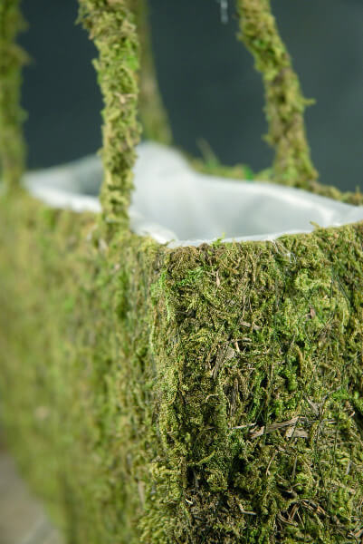 natural preserved moss 12in purse with liner