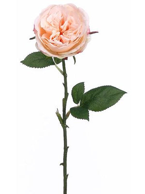 2 of 2: 12 long stem peach roses