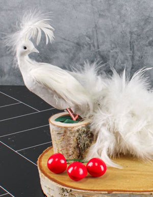4 of 4: White Feathered Peacock 16in
