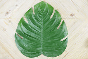 2 of 4: monstera leaf placemat
