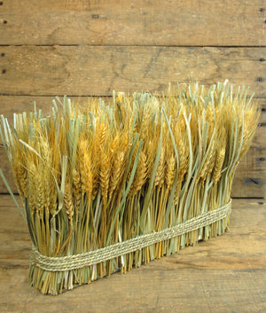 1 of 3: Natural Preserved Wheat Bundle 10"x 15"