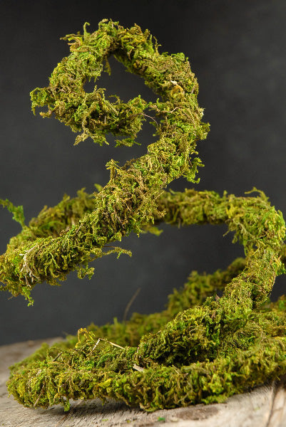 Preserved Moss Vine 6ft - view 1