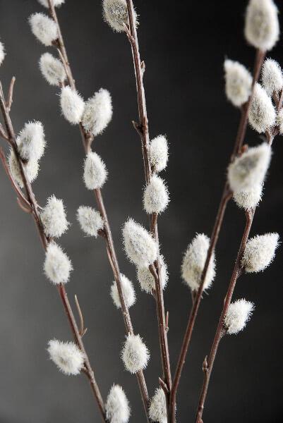 12 artificial pussy willow branches 31 in - view 3