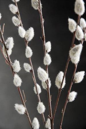 3 of 3: 12 artificial pussy willow branches 31 in