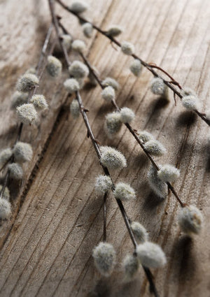 2 of 3: 12 artificial pussy willow branches 31 in