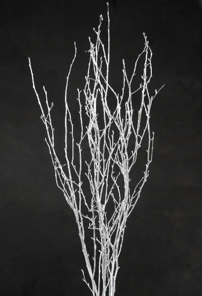 silver birch tree branches 3 4 ft 4 branches - view 2
