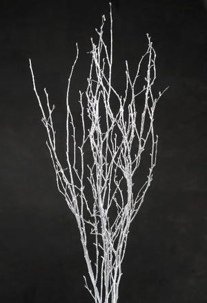 2 of 3: silver birch tree branches 3 4 ft 4 branches